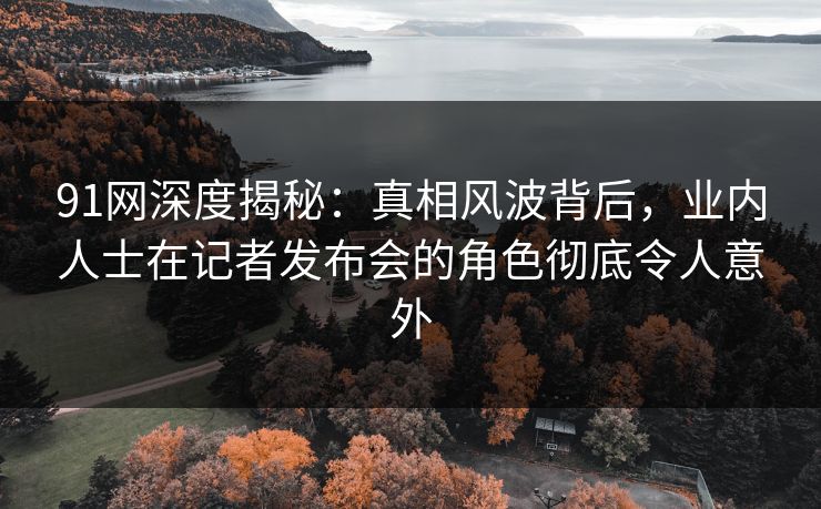 91网深度揭秘：真相风波背后，业内人士在记者发布会的角色彻底令人意外