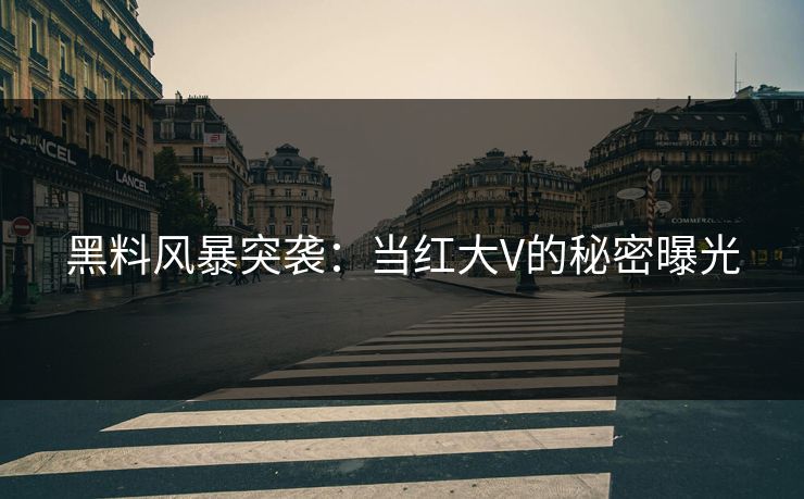 黑料风暴突袭：当红大V的秘密曝光
