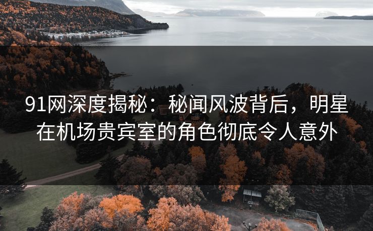 91网深度揭秘：秘闻风波背后，明星在机场贵宾室的角色彻底令人意外