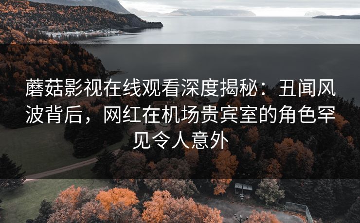 蘑菇影视在线观看深度揭秘：丑闻风波背后，网红在机场贵宾室的角色罕见令人意外
