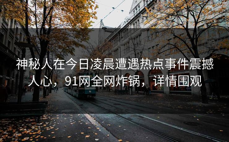 神秘人在今日凌晨遭遇热点事件震撼人心，91网全网炸锅，详情围观