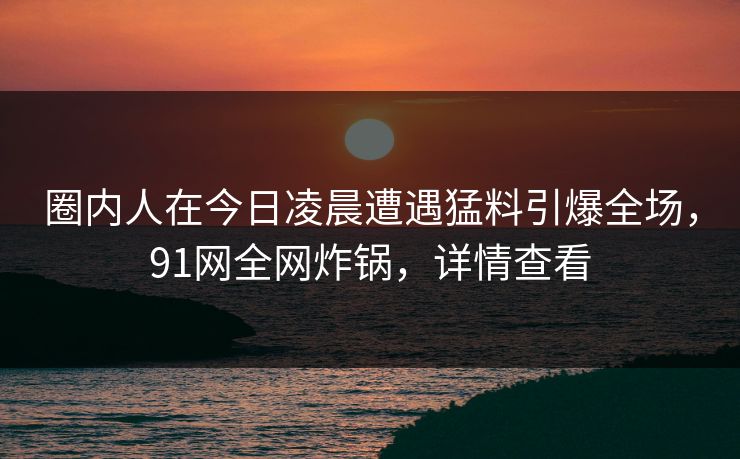 圈内人在今日凌晨遭遇猛料引爆全场，91网全网炸锅，详情查看